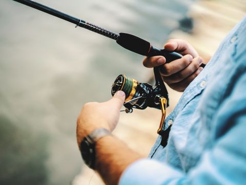 Camping Wilhelm Tell - Belgisches Limburg