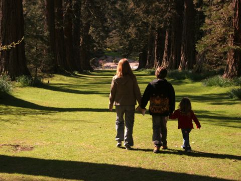 Camping Wilhelm Tell - Belgisches Limburg