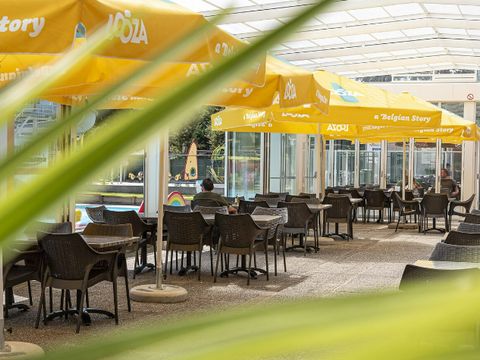 Camping Wilhelm Tell - Belgisches Limburg