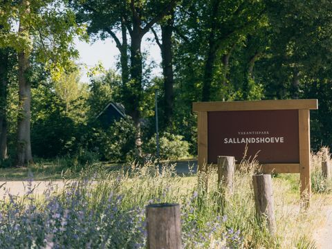 Vakantiepark Sallandshoeve - Raalte - Image N°15