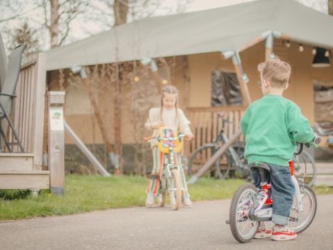 Vakantiepark Sallandshoeve - Camping Raalte - Image N°2