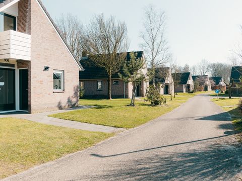 Vakantiepark Sallandshoeve - Raalte - Image N°13