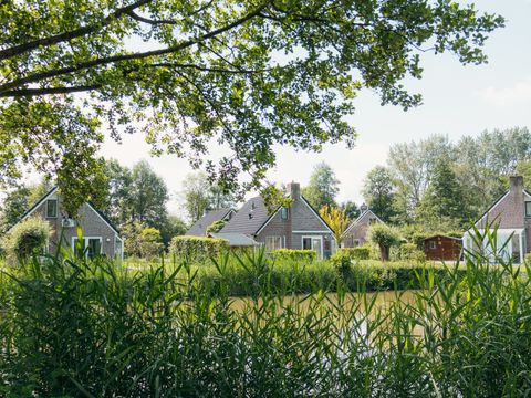 Vakantiepark Sallandshoeve - Raalte - Image N°14