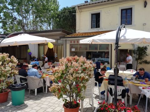 Viareggio Family Collection - Lucca