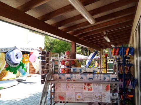 Viareggio Family Collection - Lucca