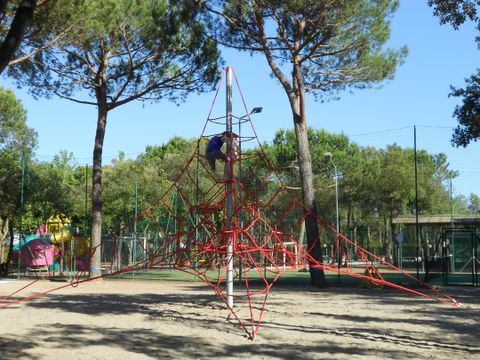Viareggio Family Collection - Lucca