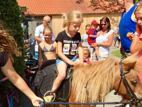 Vodatent Camping de Rammelbeek - Dinkelland - Image N°5