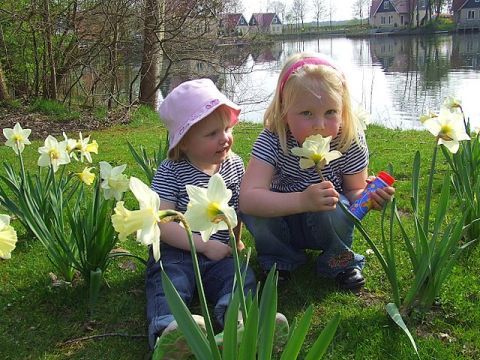 Vakantiepark het Timmerholt  - Camping Mitte-Drenthe - Image N°2