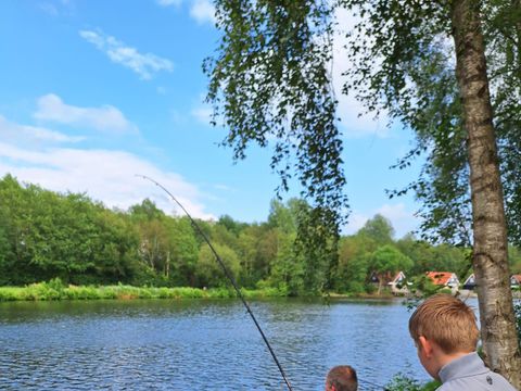 Vakantiepark het Timmerholt  - Mitte-Drenthe - Image N°4