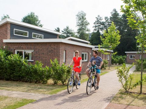 Roompot Resort Arcen  - Arcen