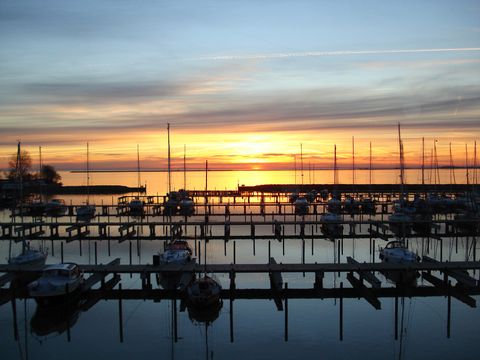 Landal Marinapark Volendam - Edam-Volendam - Image N°23