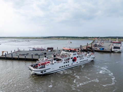 Landal Vakantiepark Boomhiemke - Ameland - Image N°31
