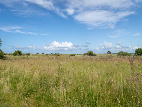 Landal Vakantiepark Boomhiemke - Ameland - Image N°40