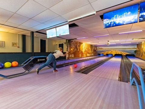 Roompot Vakantiepark Boomhiemke - Camping Ameland - Image N°3