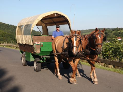 Landal Eifelpark Kronenburger See - Nordrhein-Westfalen