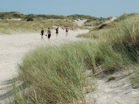 Landal Kustpark Texel - Texel