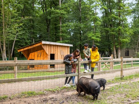 Center Parcs  Les Bois-Francs - Eure - Image N°36