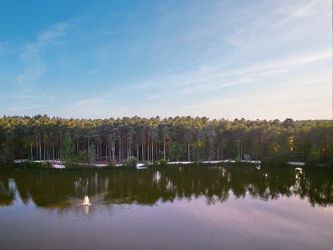Center Parcs Les Hauts de Bruyères - Loir-et-Cher - Image N°54
