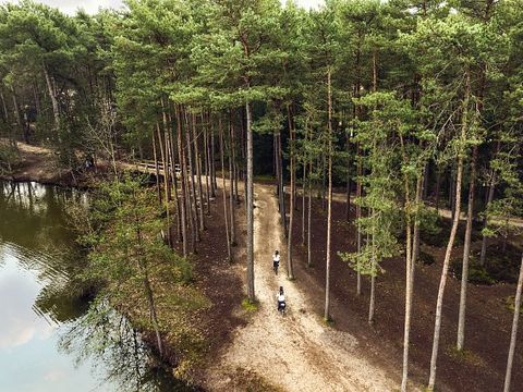 Center Parcs Les Hauts de Bruyères - Loir-et-Cher - Image N°27