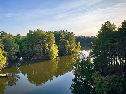 Center Parcs Les Hauts de Bruyères - Loir-et-Cher - Image N°24