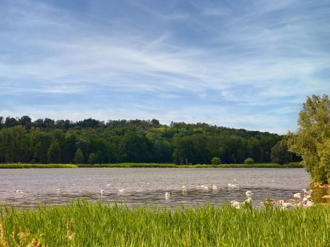 Center Parcs Le Lac d'Ailette - Aisne - Image N°66
