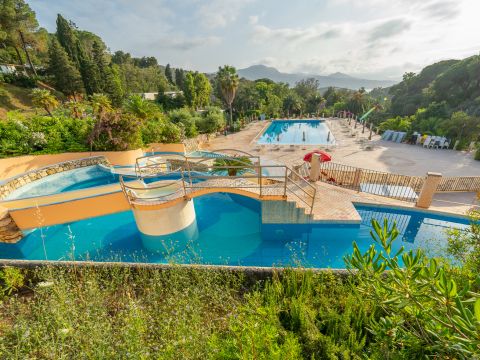 Camping Rosselba le Palme  - Camping Livorno - Image N°0