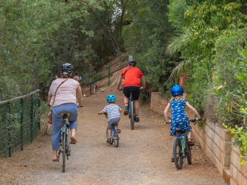 Camping Rosselba le Palme  - Livorno
