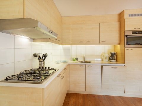 Center Parcs Port Zélande - Goeree-Overflakkee - Image N°2