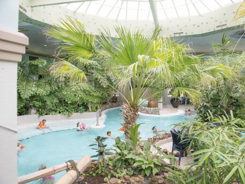 Center Parcs Port Zélande - Goeree-Overflakkee - Image N°3