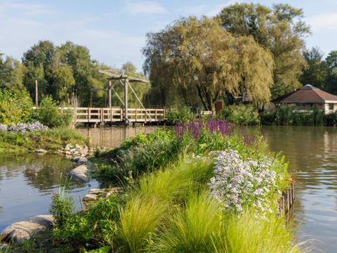 Center Parcs De Huttenheugte - Coevorden - Image N°38