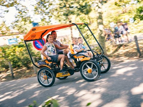 Landal Bospark De Schaapskooi - Epe - Image N°2