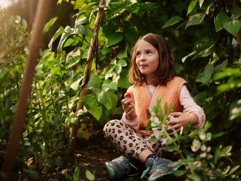 Center Parcs Het Meerdal - Horst an der Maas - Image N°4