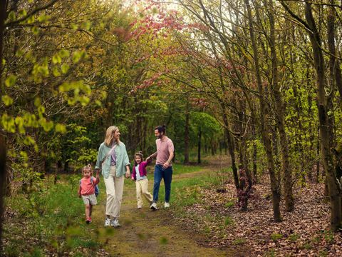 Center Parcs Het Meerdal - Horst an der Maas - Image N°2