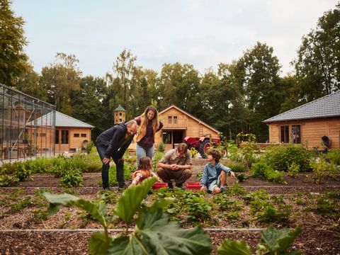 Center Parcs Het Meerdal - Horst an der Maas - Image N°4