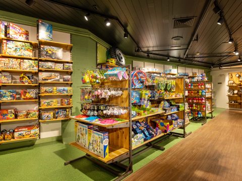 Center Parcs Het Meerdal - Horst an der Maas