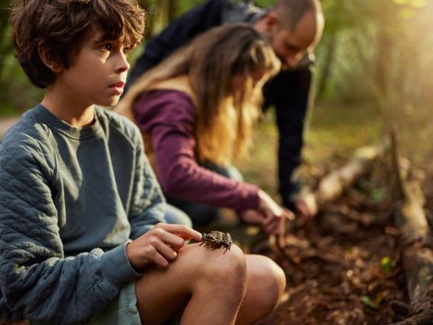 Center Parcs Het Meerdal - Horst an der Maas