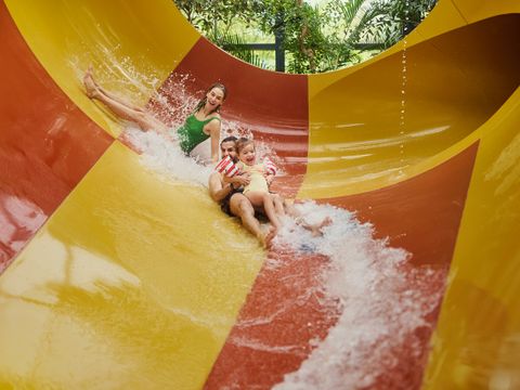 Center Parcs Het Meerdal - Horst an der Maas - Image N°2