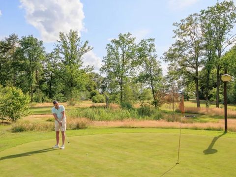 Recreatiepark Kaps - Camping Tubbergen - Image N°2