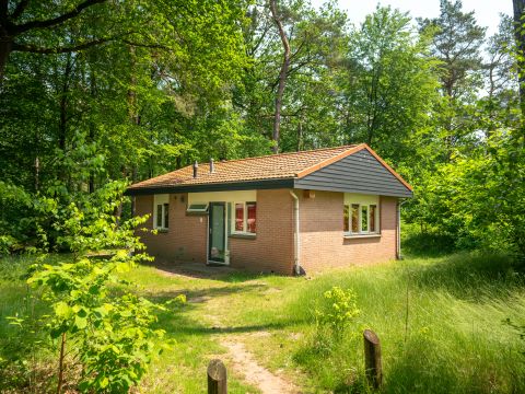 Landal Heideheuvel - Camping Apeldoorn - Image N°0