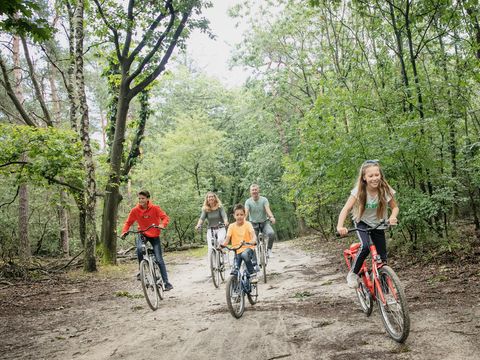 Landal Miggelenberg - Camping Apeldoorn - Image N°4
