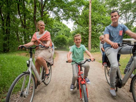 Landal Rabbit Hill - Camping Apeldoorn - Image N°5