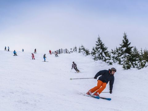 Landal Salztal Paradies - Niedersachsen