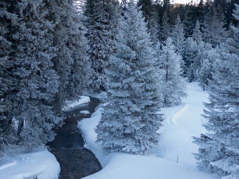 Landal Salztal Paradies - Niedersachsen - Image N°55