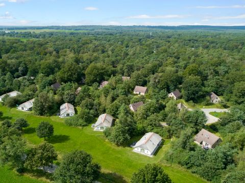 Landal Twenhaarsveld - Rijssen-Holten - Image N°0