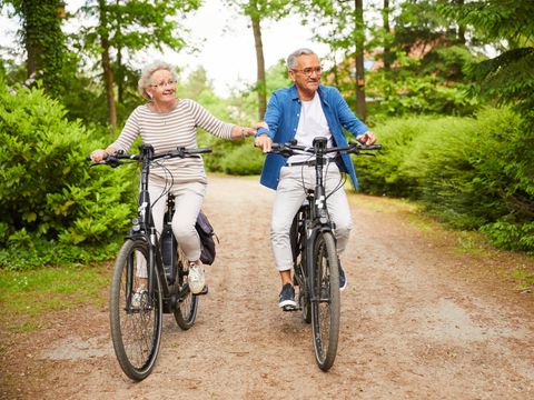 Landal Natuurdorp Suyderoogh - Das Hochland