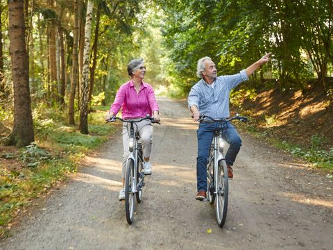 Landal Natuurdorp Suyderoogh - Das Hochland