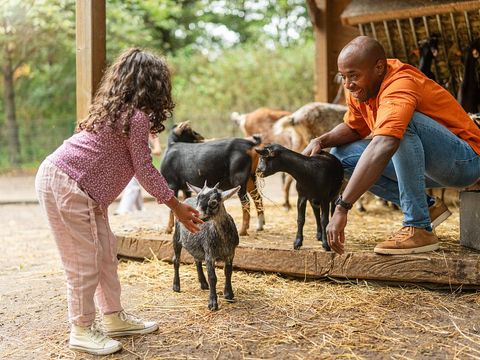 Sunparks Kempense Meren - Antwerpen - Image N°5