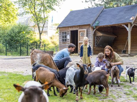 Sunparks Kempense Meren - Antwerpen - Image N°32
