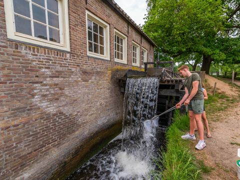EuroParcs De Hooge Veluwe - Arnheim - Image N°53