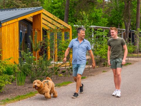 EuroParcs De Hooge Veluwe - Arnheim - Image N°34